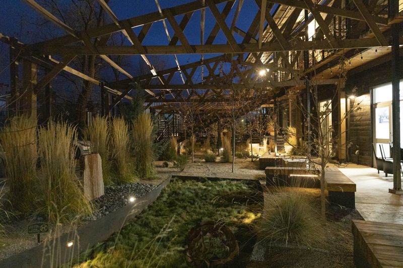 Courtyard night