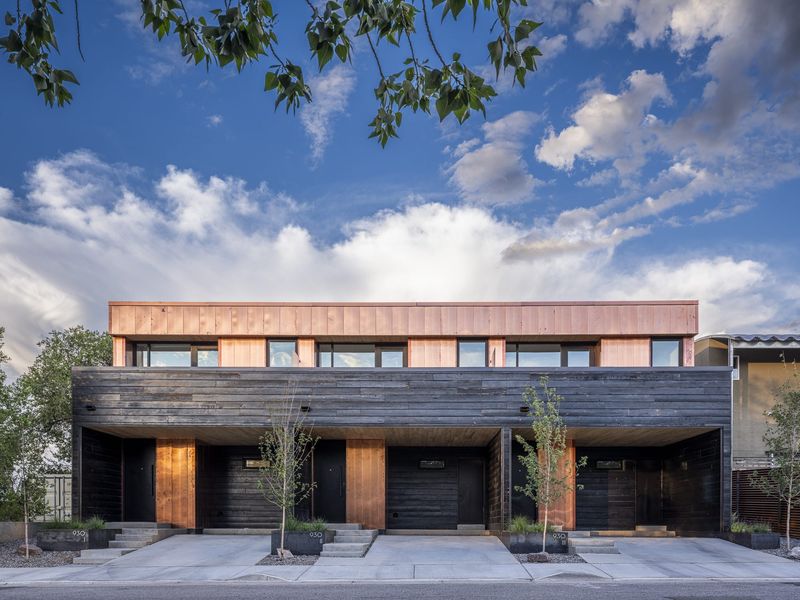 Shoofly Park Lofts